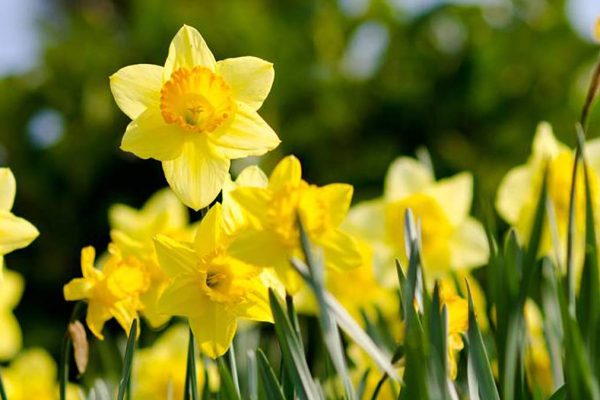 A to Z of Things To Do This Easter