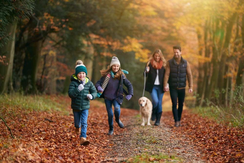 Family Enjoying a woodland walk near Cranmer Country Cottages Family Enjoying a woodland walk near Cranmer Country Cottages