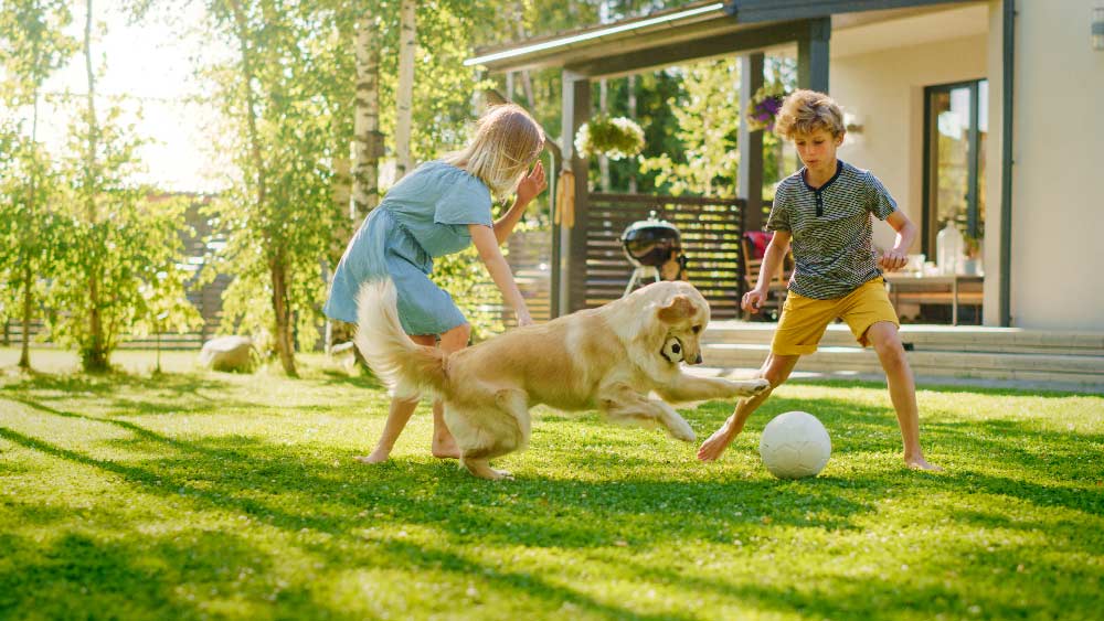 Image-6 Family enjoying playing with the dog whilst staying at Cranmer Country Cottages